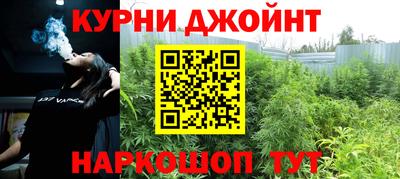 индика Гусь-Хрустальный
