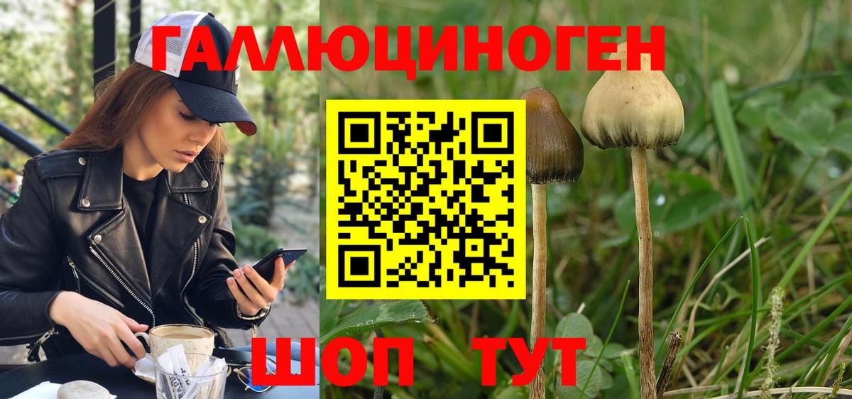 Галлюциногенные грибы GOLDEN TEACHER  Псилоцибиновые грибы Cubensis  Магнитогорск  Вход с VPN 